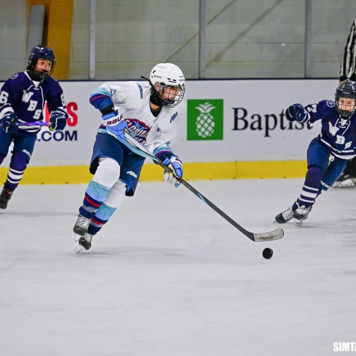 Hockey player playing ice hockey